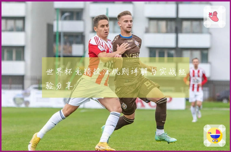 世界杯竞猜投注规则详解与实战经验分享