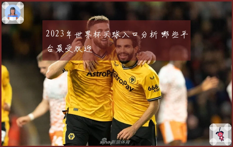 2023年世界杯买球入口分析 哪些平台最受欢迎