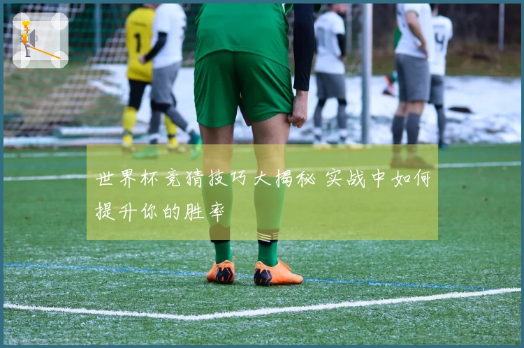 世界杯竞猜技巧大揭秘 实战中如何提升你的胜率