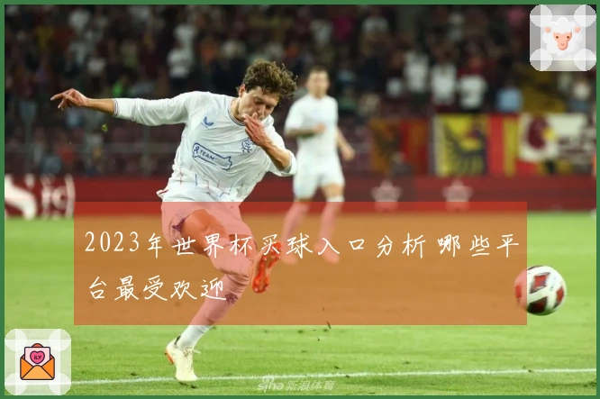2023年世界杯买球入口分析 哪些平台最受欢迎