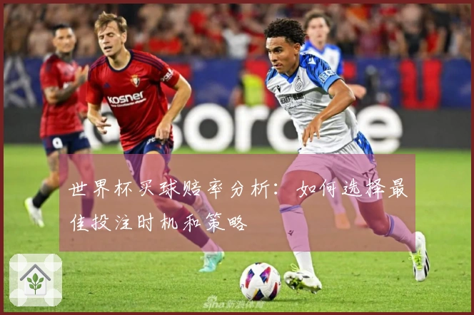 世界杯买球赔率分析：如何选择最佳投注时机和策略
