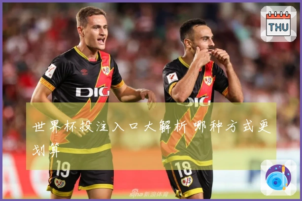 世界杯投注入口大解析 哪种方式更划算