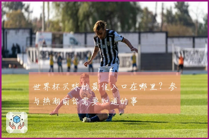 世界杯买球的最佳入口在哪里？参与热潮前你需要知道的事