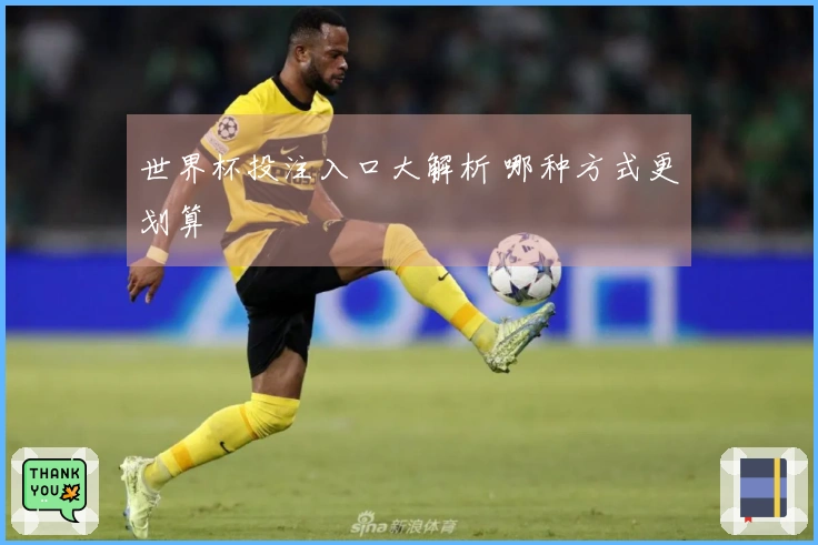 世界杯投注入口大解析 哪种方式更划算