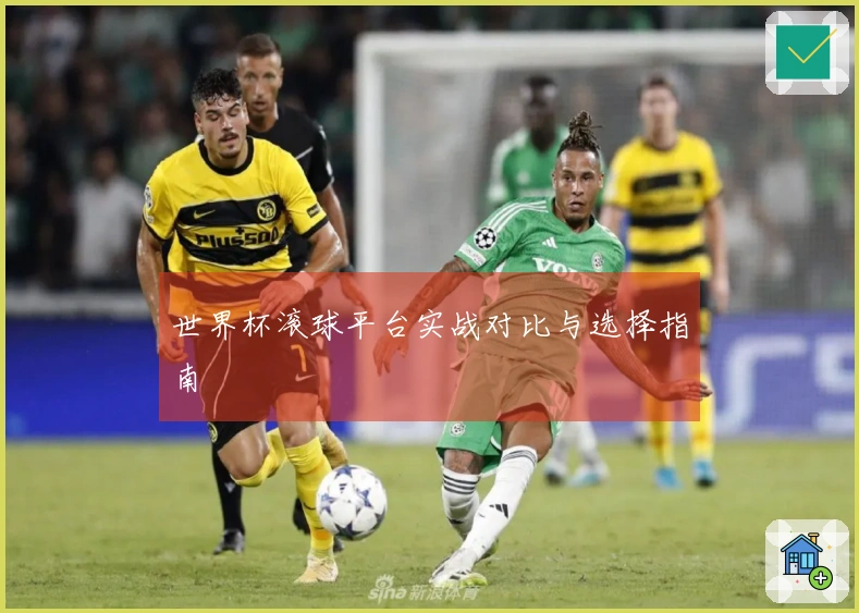 世界杯滚球平台实战对比与选择指南