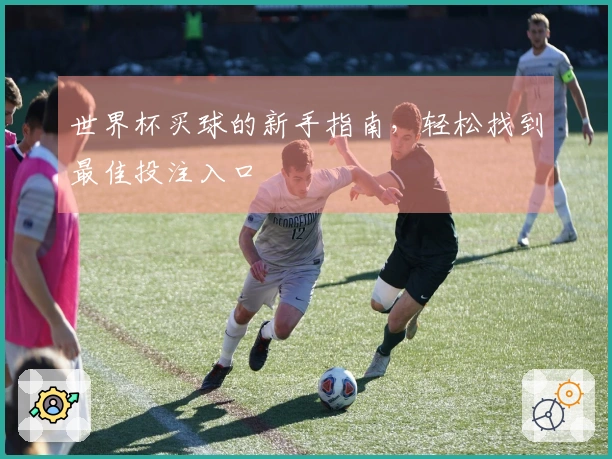 世界杯买球的新手指南，轻松找到最佳投注入口