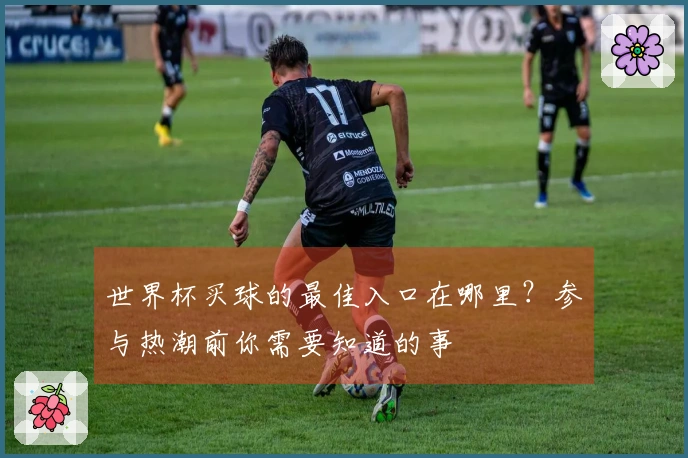 世界杯买球的最佳入口在哪里？参与热潮前你需要知道的事